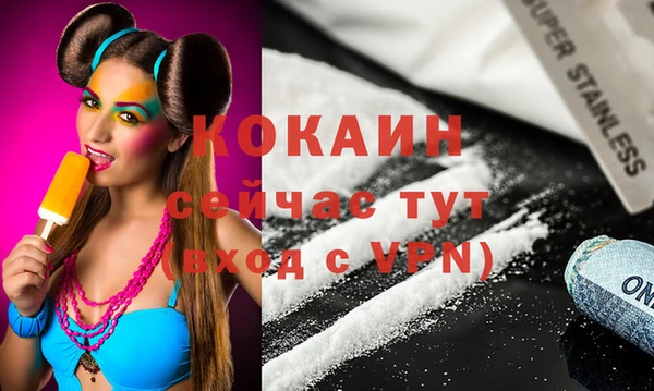 молекула духа Арсеньев