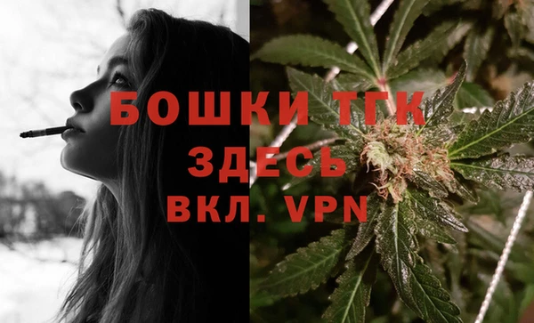 молекула духа Арсеньев