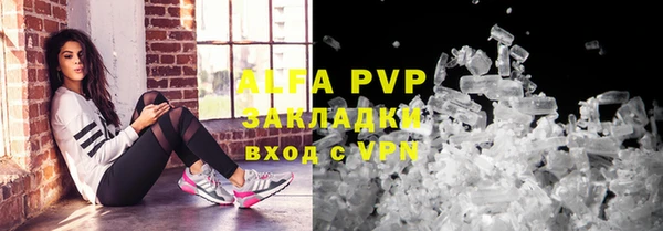 молекула духа Арсеньев