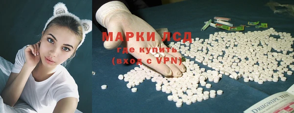 молекула духа Арсеньев